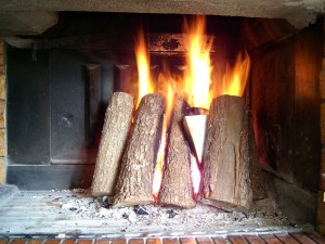 The Eco Friendliness of a Wood Burning Stove - Cherry Hill NJ - Mason's Chimney Service